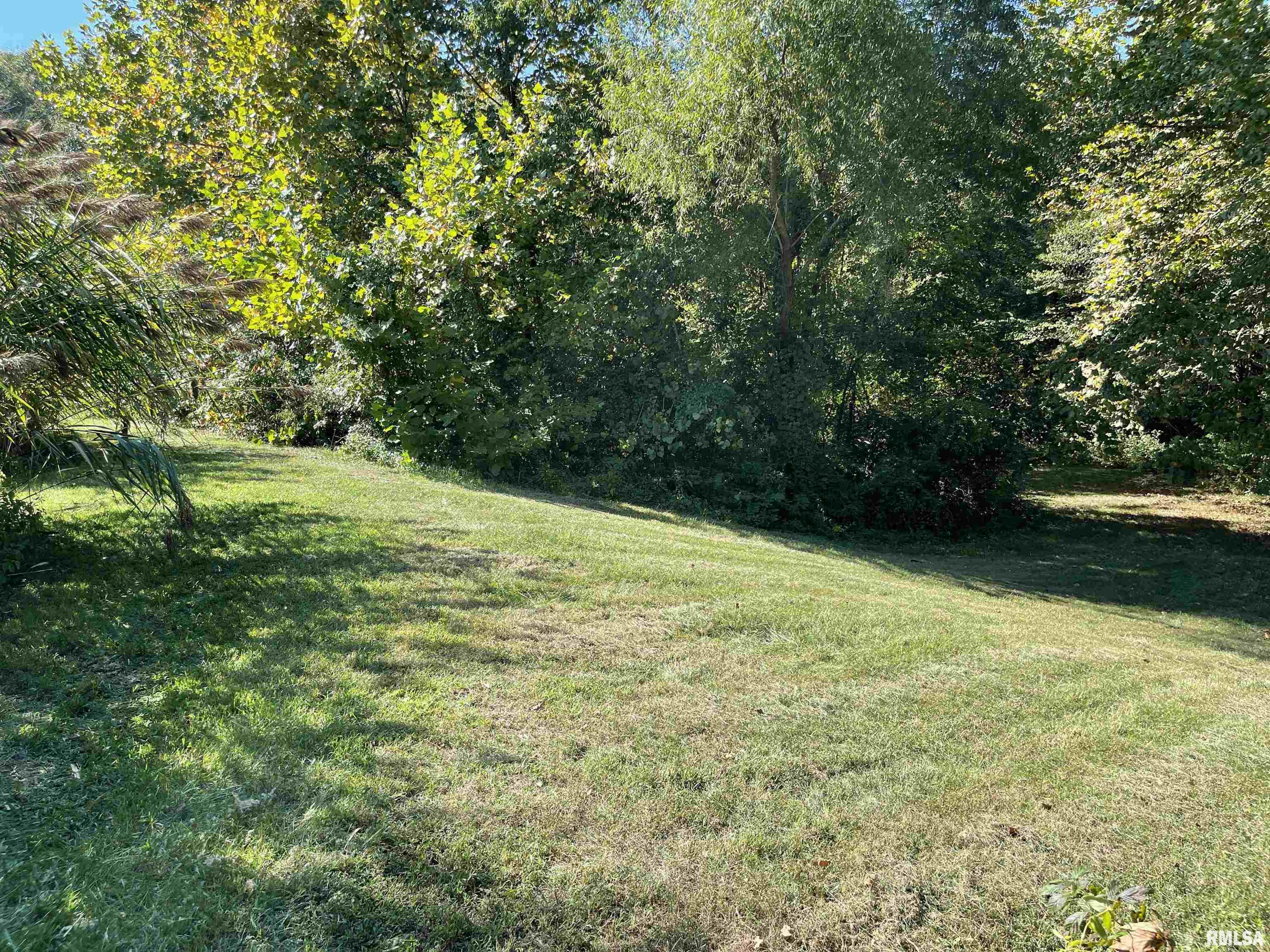1037 Burge Road Centralia, IL 62801 - Photo 35 of 48