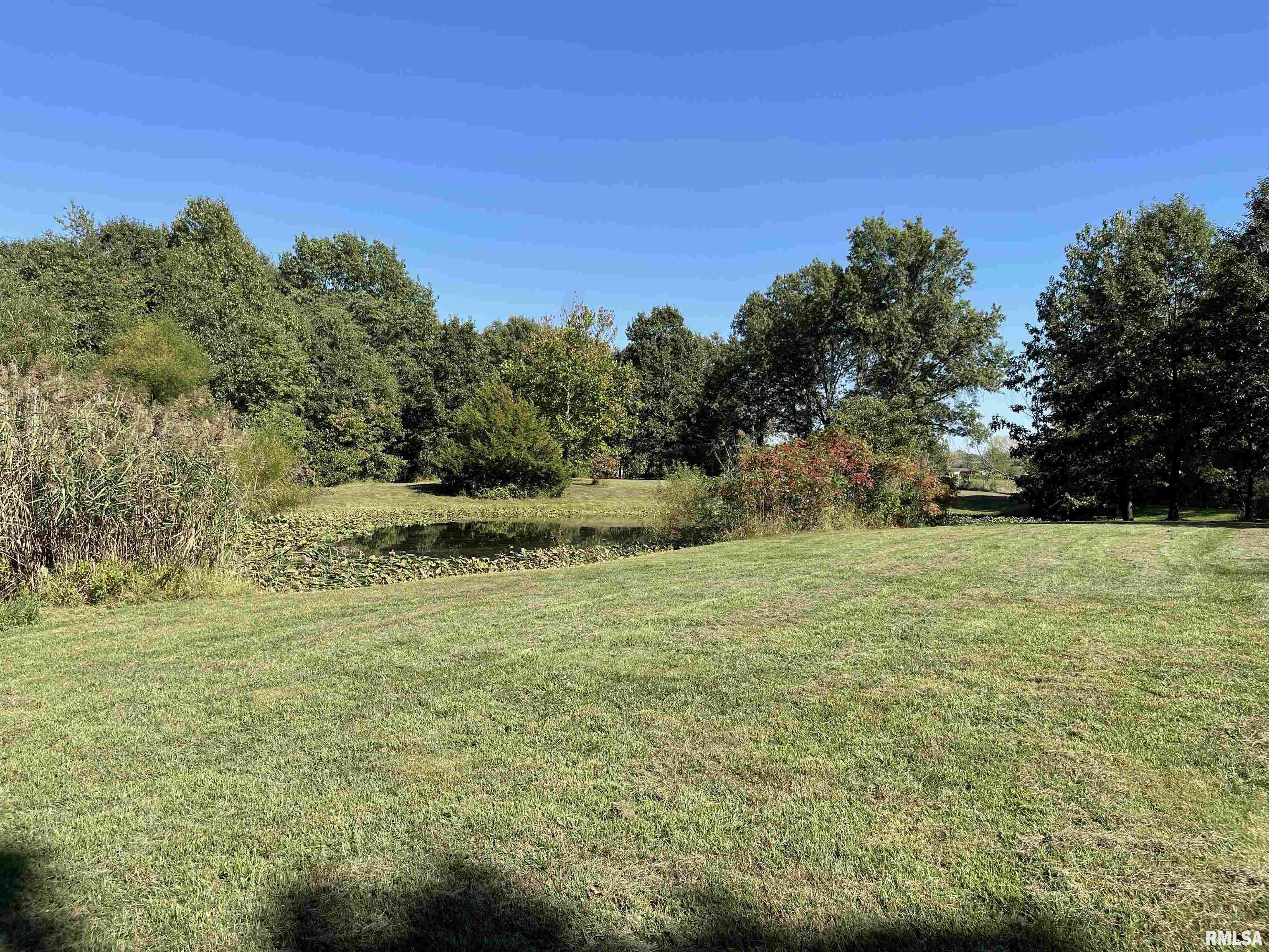 1037 Burge Road Centralia, IL 62801 - Photo 39 of 48