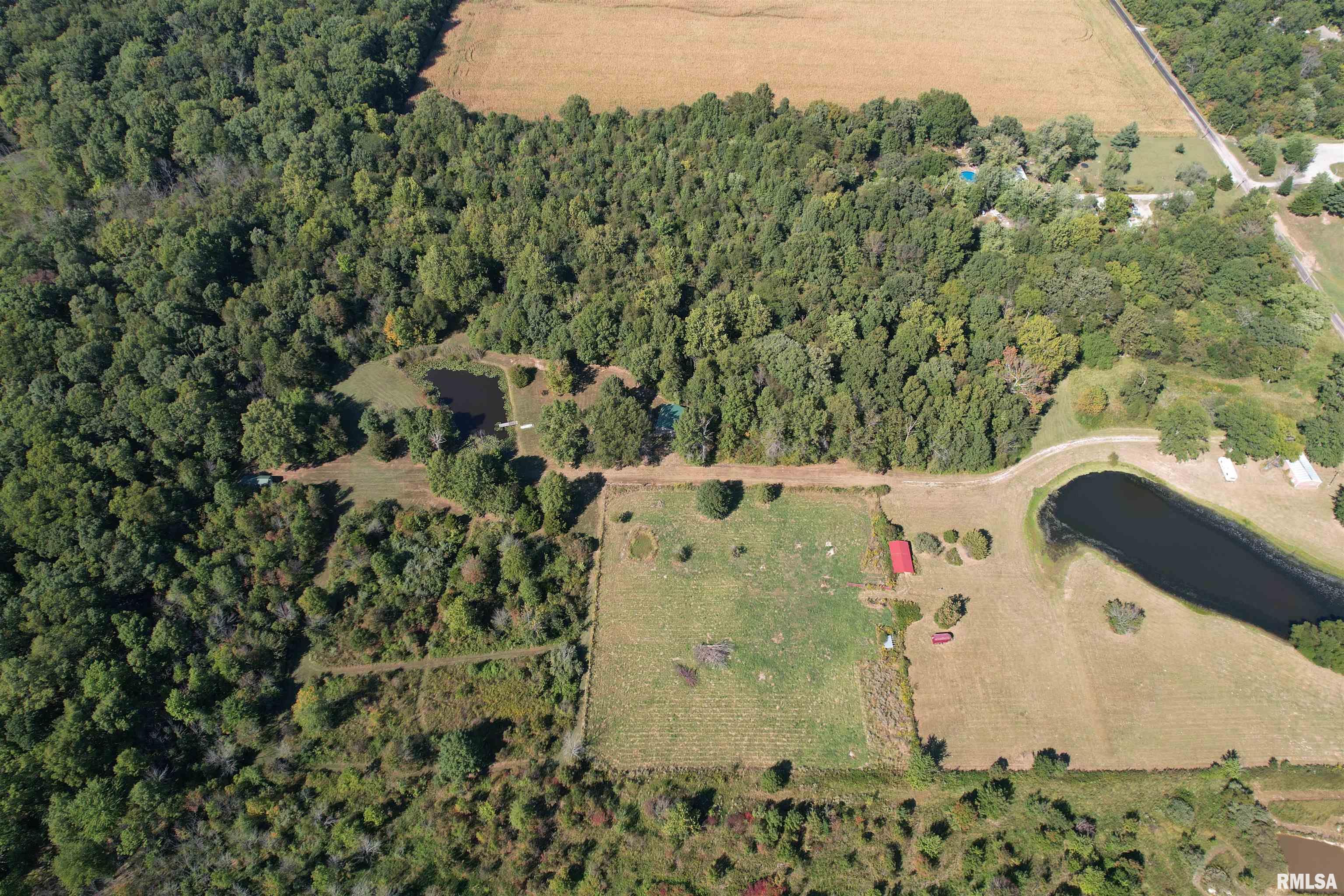 1037 Burge Road Centralia, IL 62801 - Photo 4 of 48