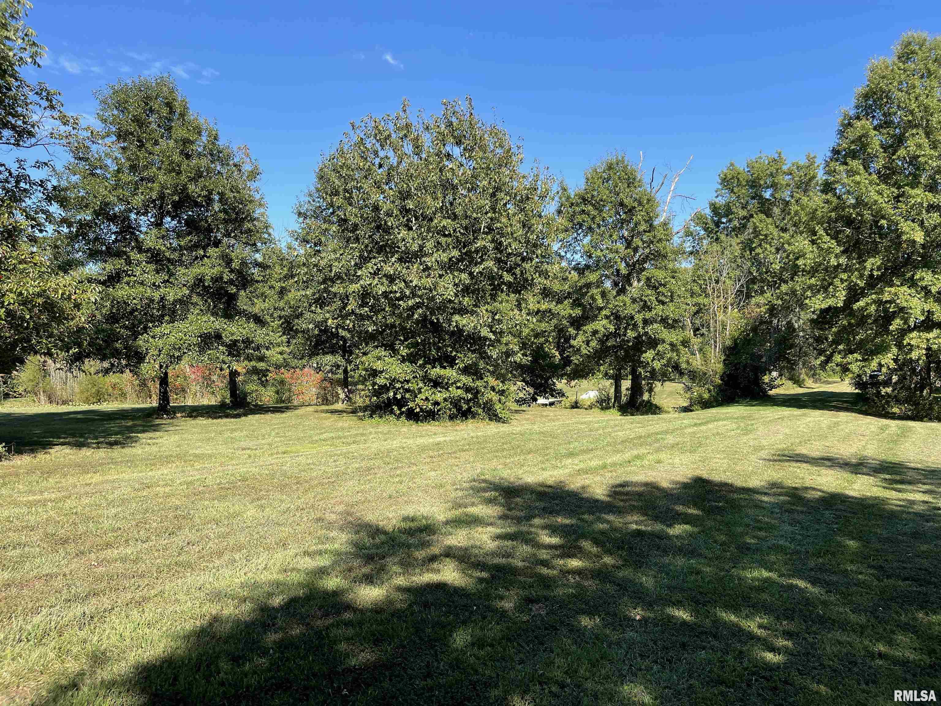 1037 Burge Road Centralia, IL 62801 - Photo 43 of 48