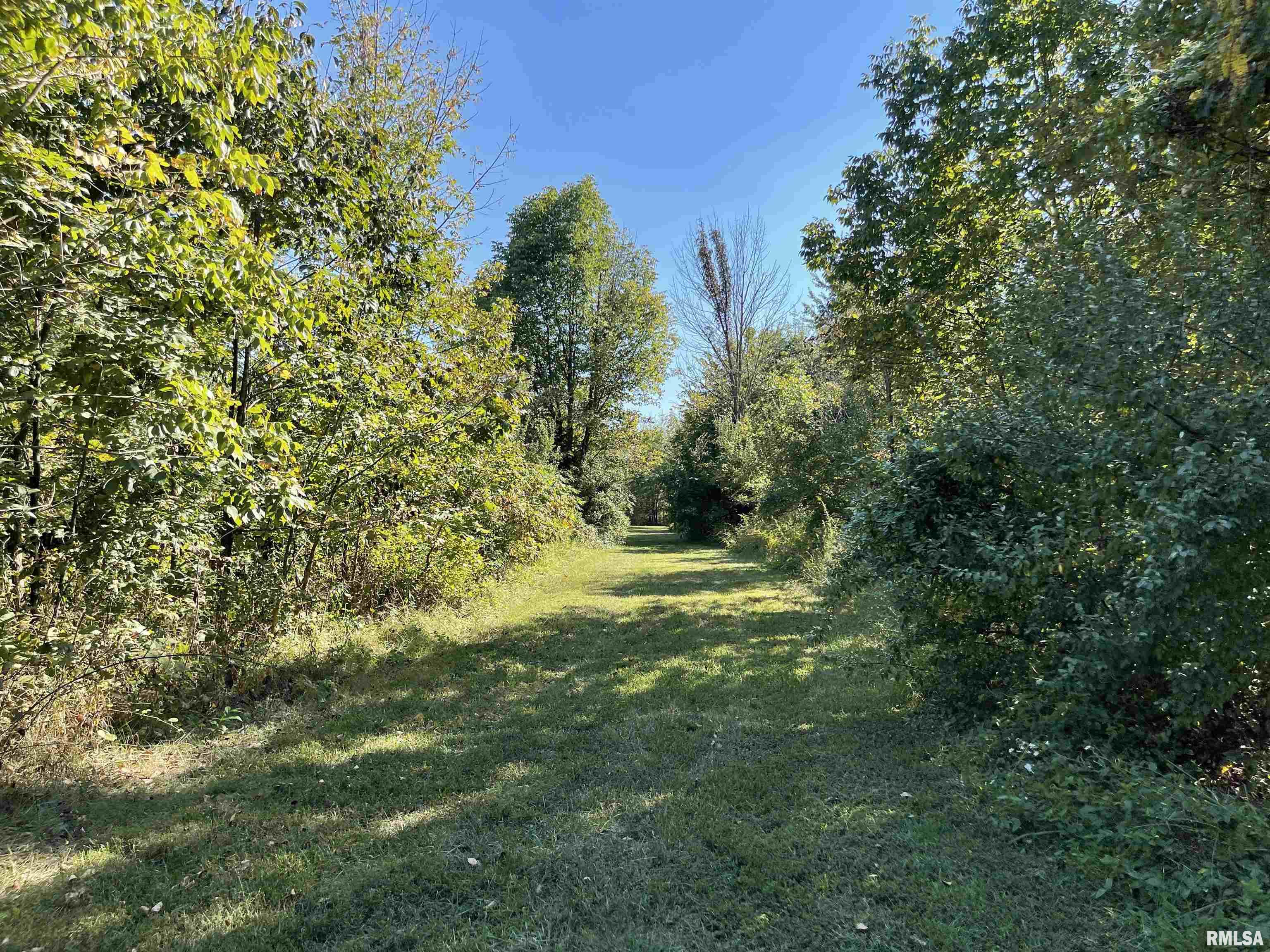 1037 Burge Road Centralia, IL 62801 - Photo 44 of 48