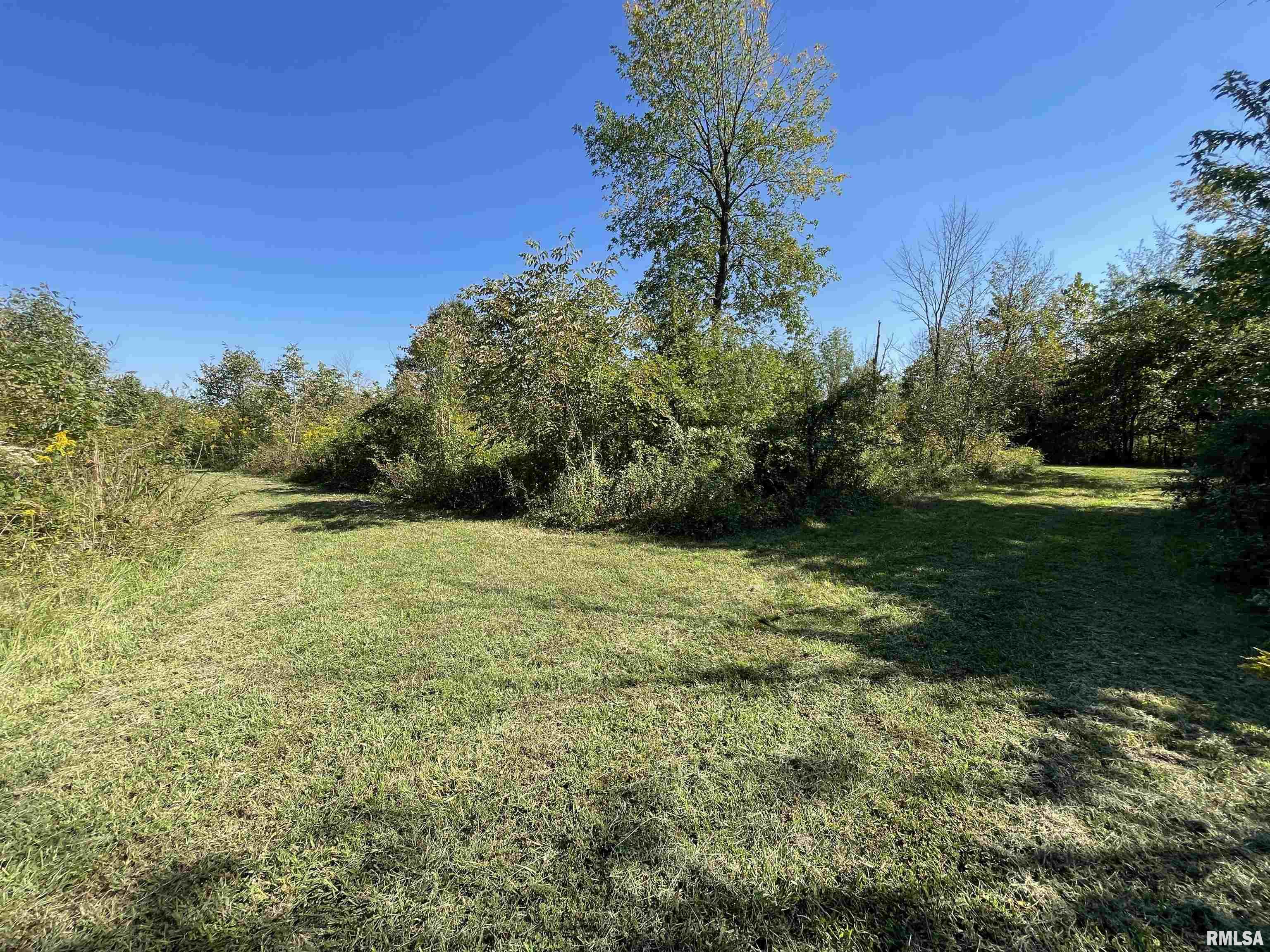 1037 Burge Road Centralia, IL 62801 - Photo 45 of 48