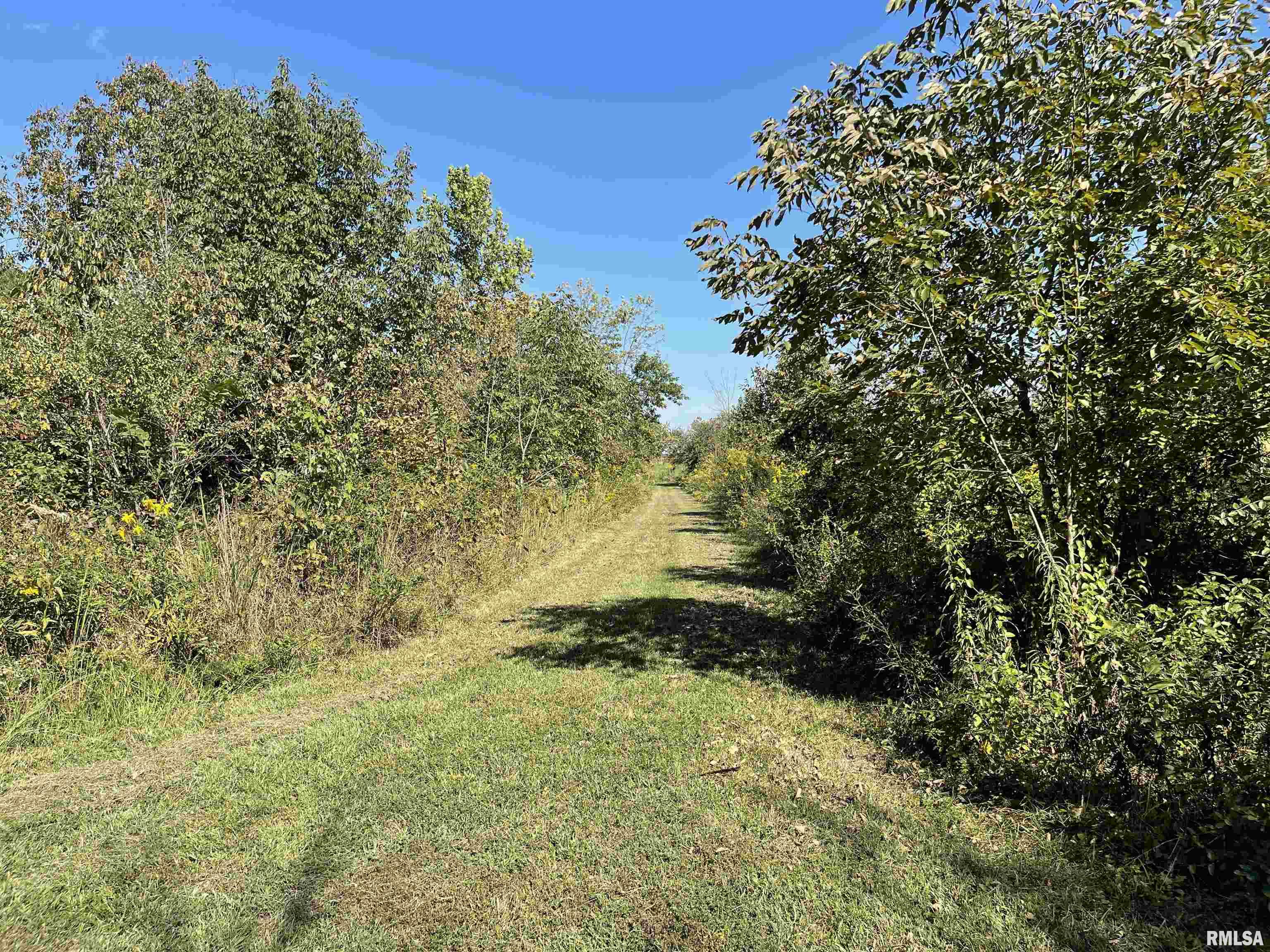 1037 Burge Road Centralia, IL 62801 - Photo 46 of 48
