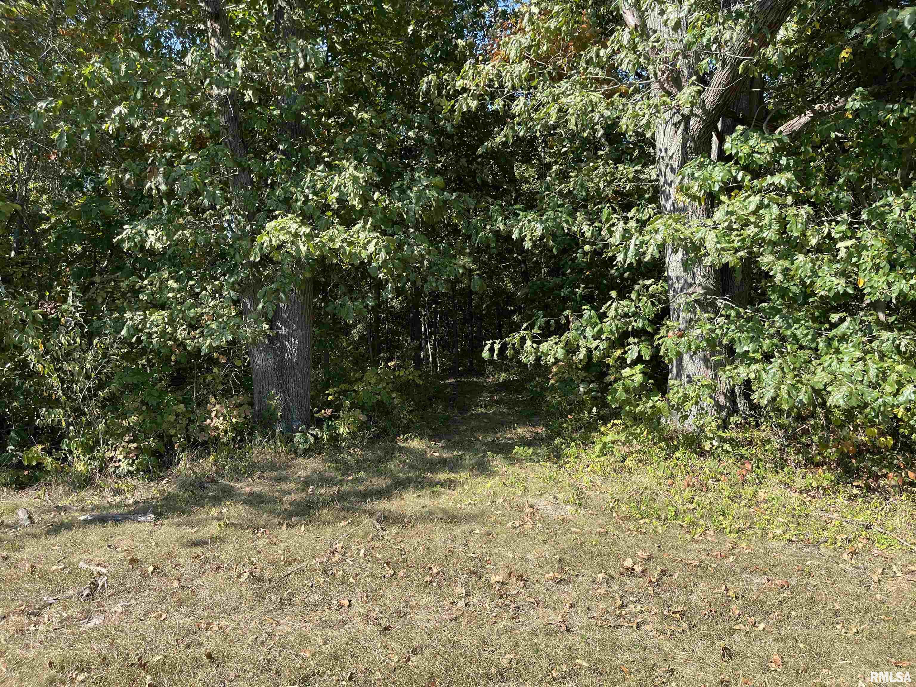 1037 Burge Road Centralia, IL 62801 - Photo 48 of 48