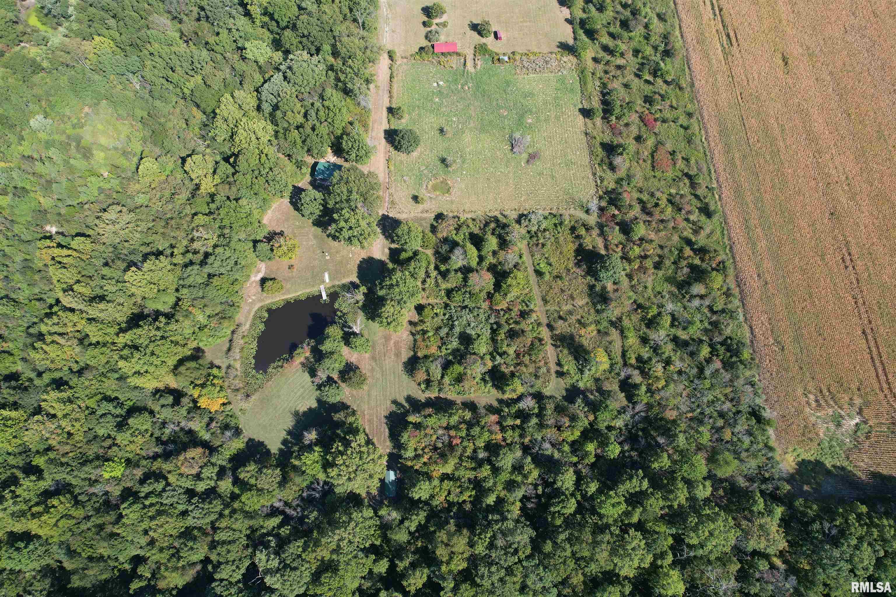 1037 Burge Road Centralia, IL 62801 - Photo 5 of 48