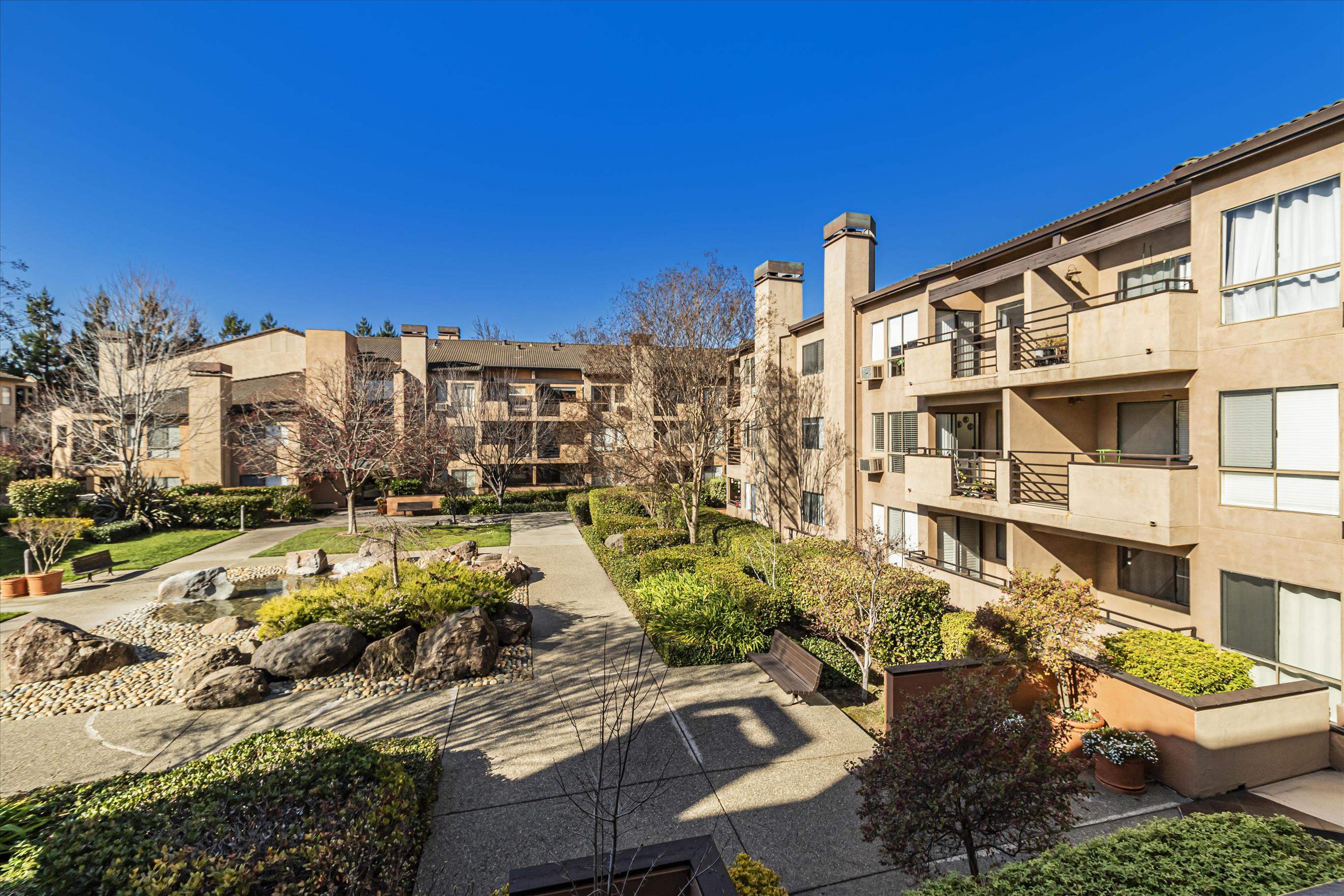 39059 Guardino Drive, Unit 206 Fremont, CA 94538 - Photo 24 of 37 a view of yard with large trees