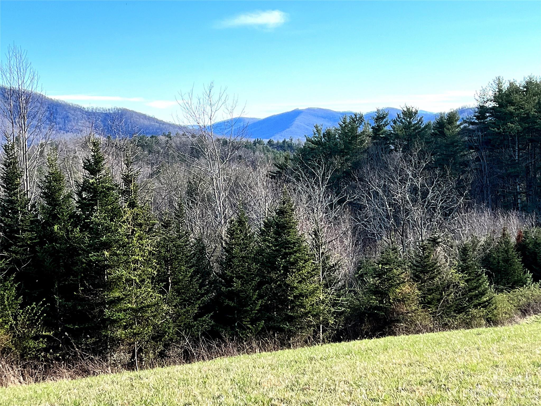 0 Slagle Road Bakersville, NC 28705 - Photo 15 of 24 Gallery Image 15