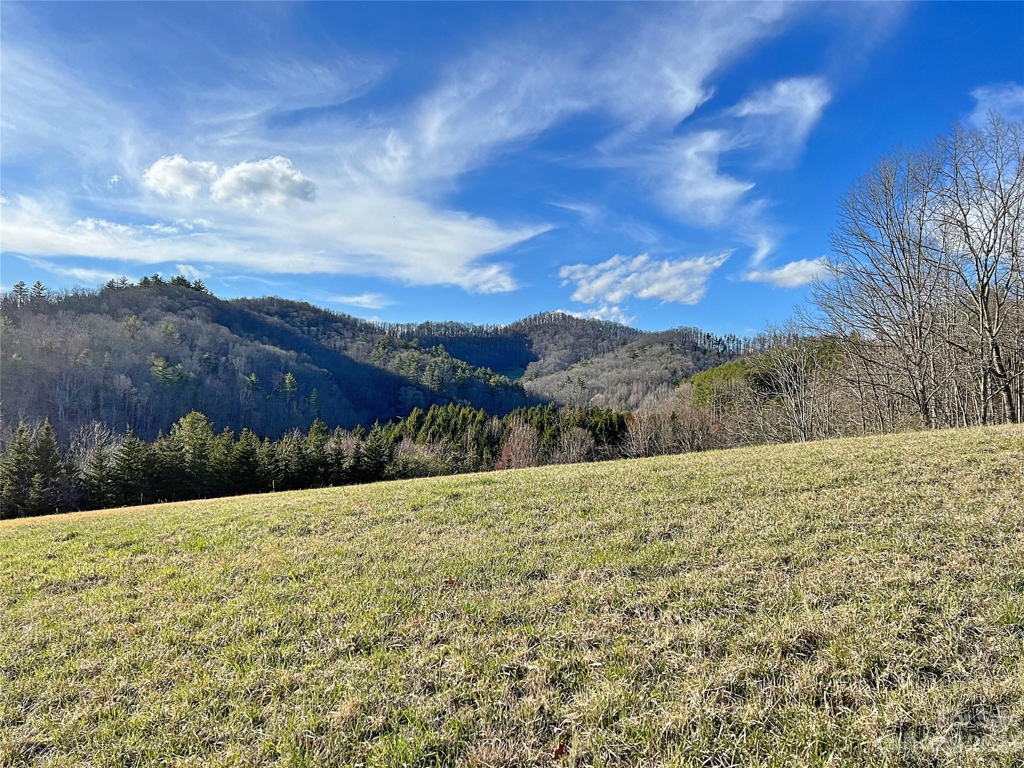 0 Slagle Road Bakersville, NC 28705 - Photo 8 of 24 Gallery Image 8