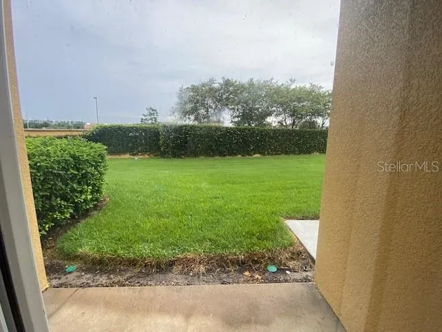 a view of a garden from a window