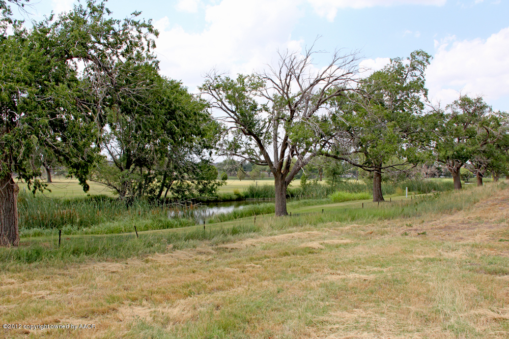 Pd Creek Canyon, TX 79015 - Photo 11 of 20 a view of backyard with green space