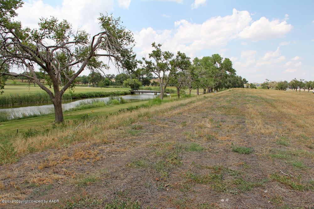 Pd Creek Canyon, TX 79015 - Photo 13 of 20 a view of a yard with a tree