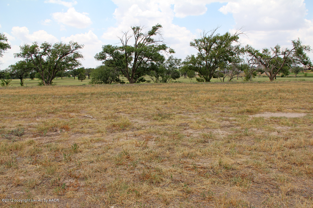 Pd Creek Canyon, TX 79015 - Photo 16 of 20 a view of a field with trees