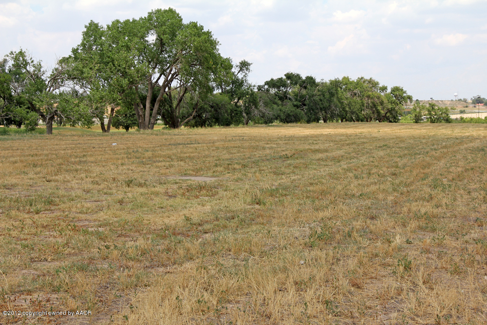 Pd Creek Canyon, TX 79015 - Photo 17 of 20 a view of a field with trees in the background
