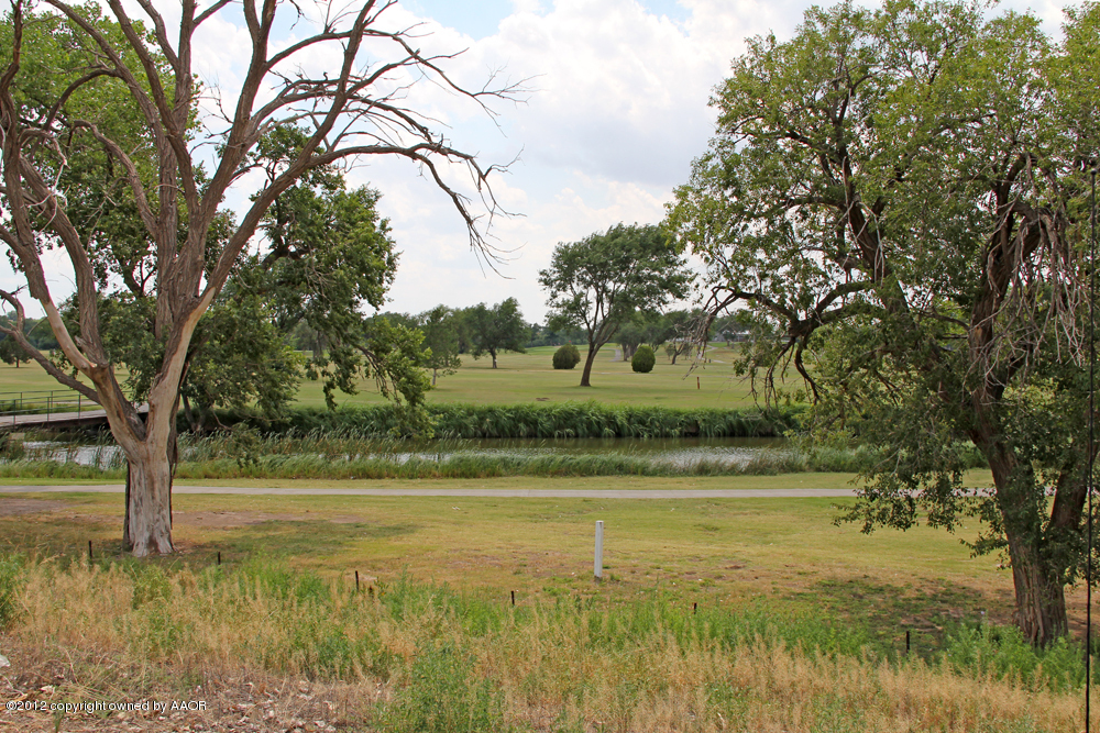 Pd Creek Canyon, TX 79015 - Photo 3 of 20 a view of a yard with an trees