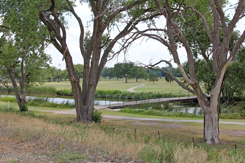 Pd Creek Canyon, TX 79015 - Photo 4 of 20 a view of outdoor space and yard