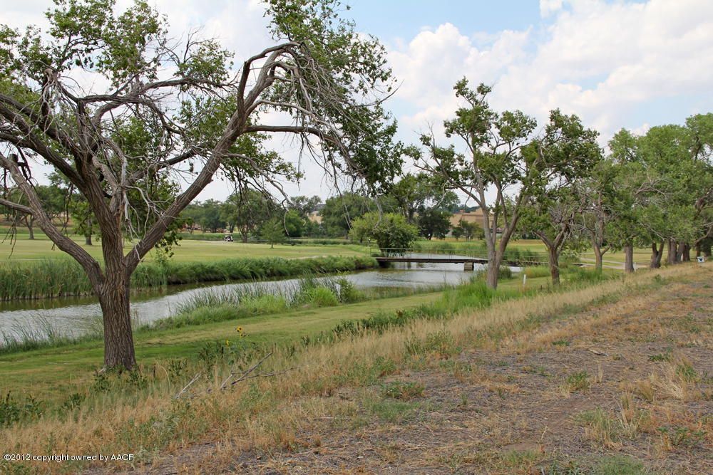 Pd Creek Canyon, TX 79015 - Photo 7 of 20 a view of backyard with green space