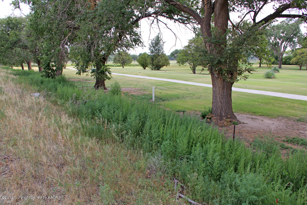 Pd Creek Canyon, TX 79015 - Photo 9 of 20 a view of a garden with trees