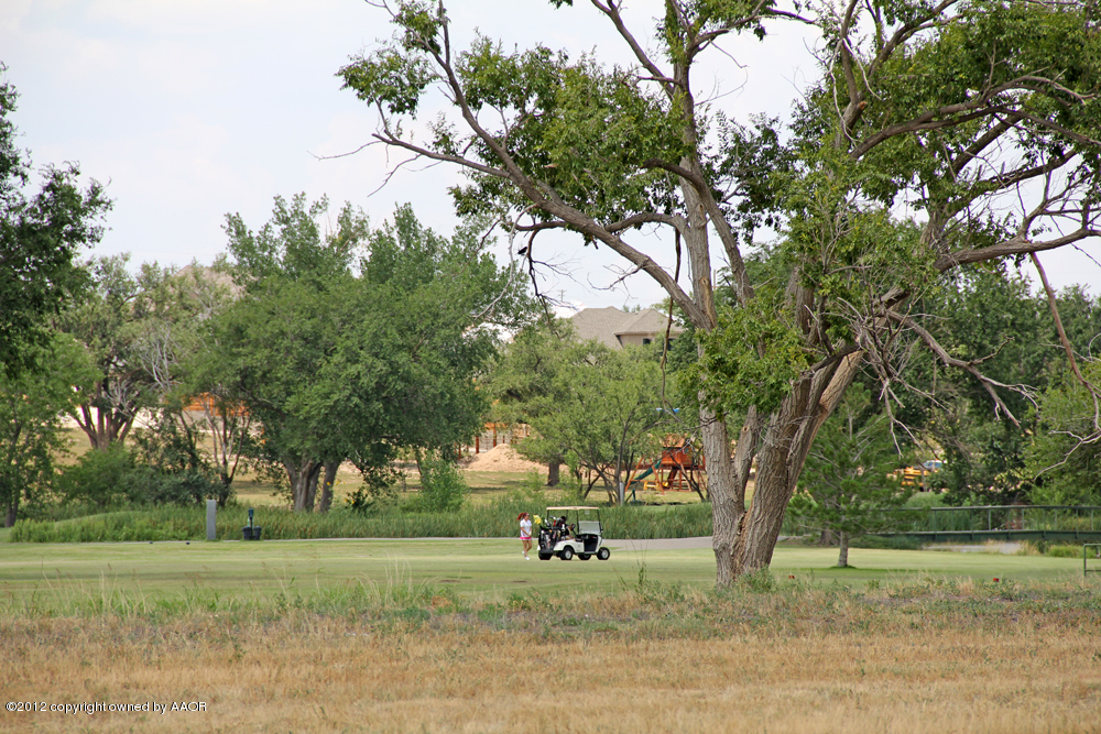 Pd Creek Canyon, TX 79015 - Photo 10 of 20 a view of a yard with a tree