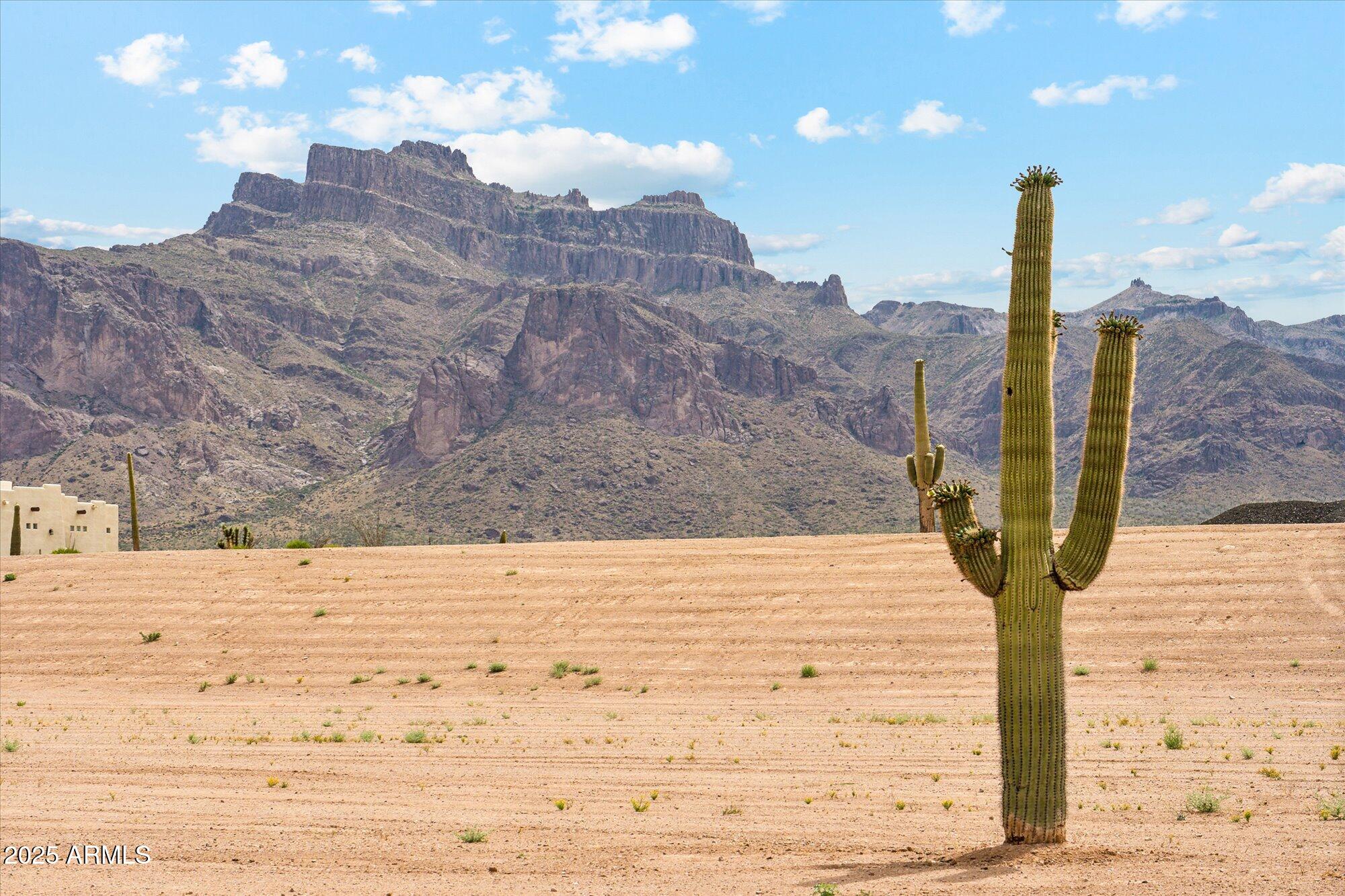 0 South Roadrunner Road, Unit 3 Apache Junction, AZ 85119 - Photo 2 of 6 a view of a yard