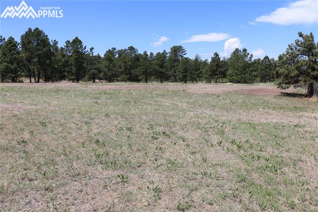 5545 Jason Road Colorado Springs, CO 80908 - Photo 17 of 34