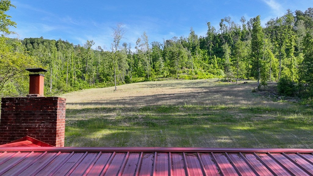 6313 Dunlap Creek Road Covington, VA 24426 - Photo 16 of 46 Gallery Image 16