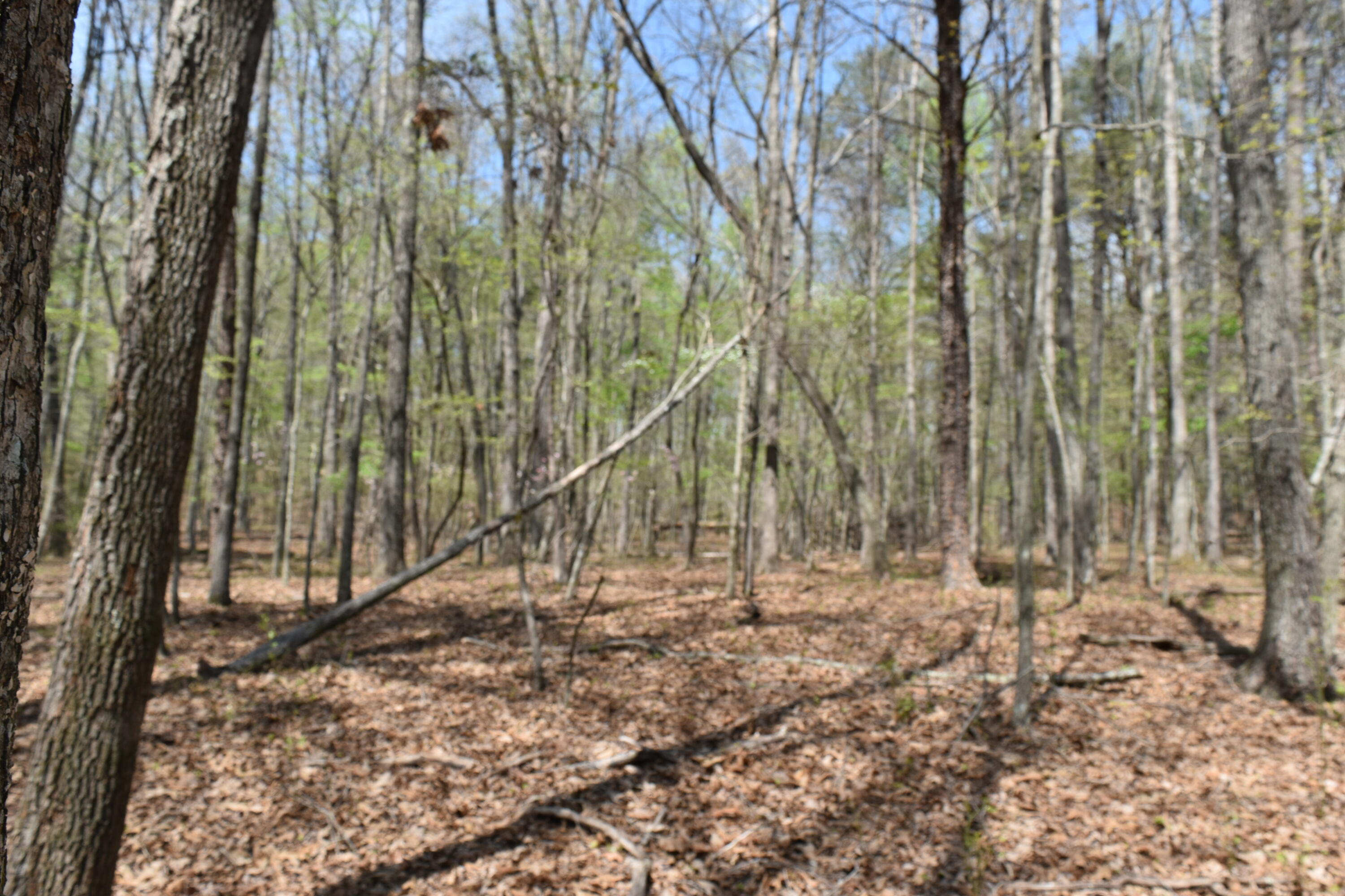 362 Haynes Road Sewanee, TN 37375 - Photo 20 of 27 DSC_0019