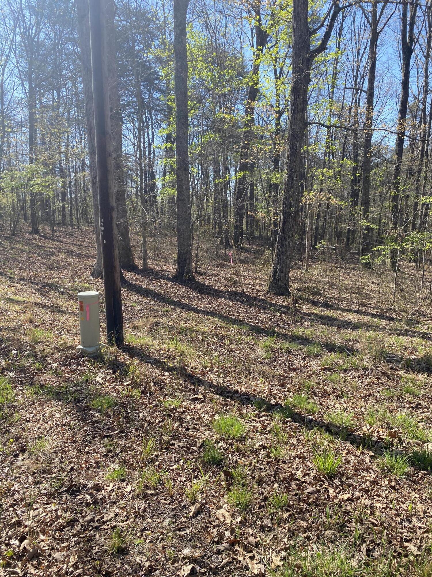 362 Haynes Road Sewanee, TN 37375 - Photo 2 of 27 IMG_0958