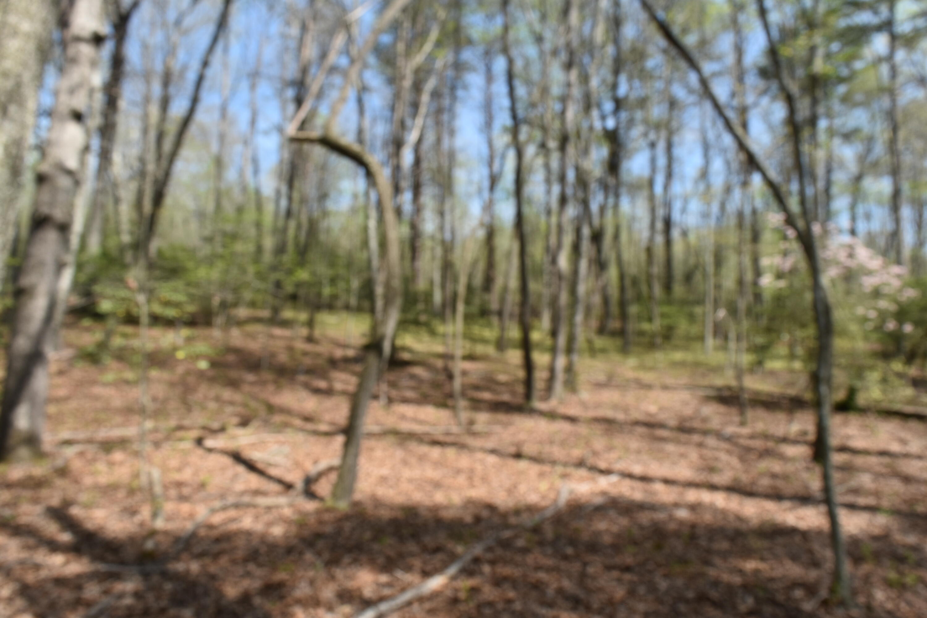 362 Haynes Road Sewanee, TN 37375 - Photo 22 of 27 DSC_0029