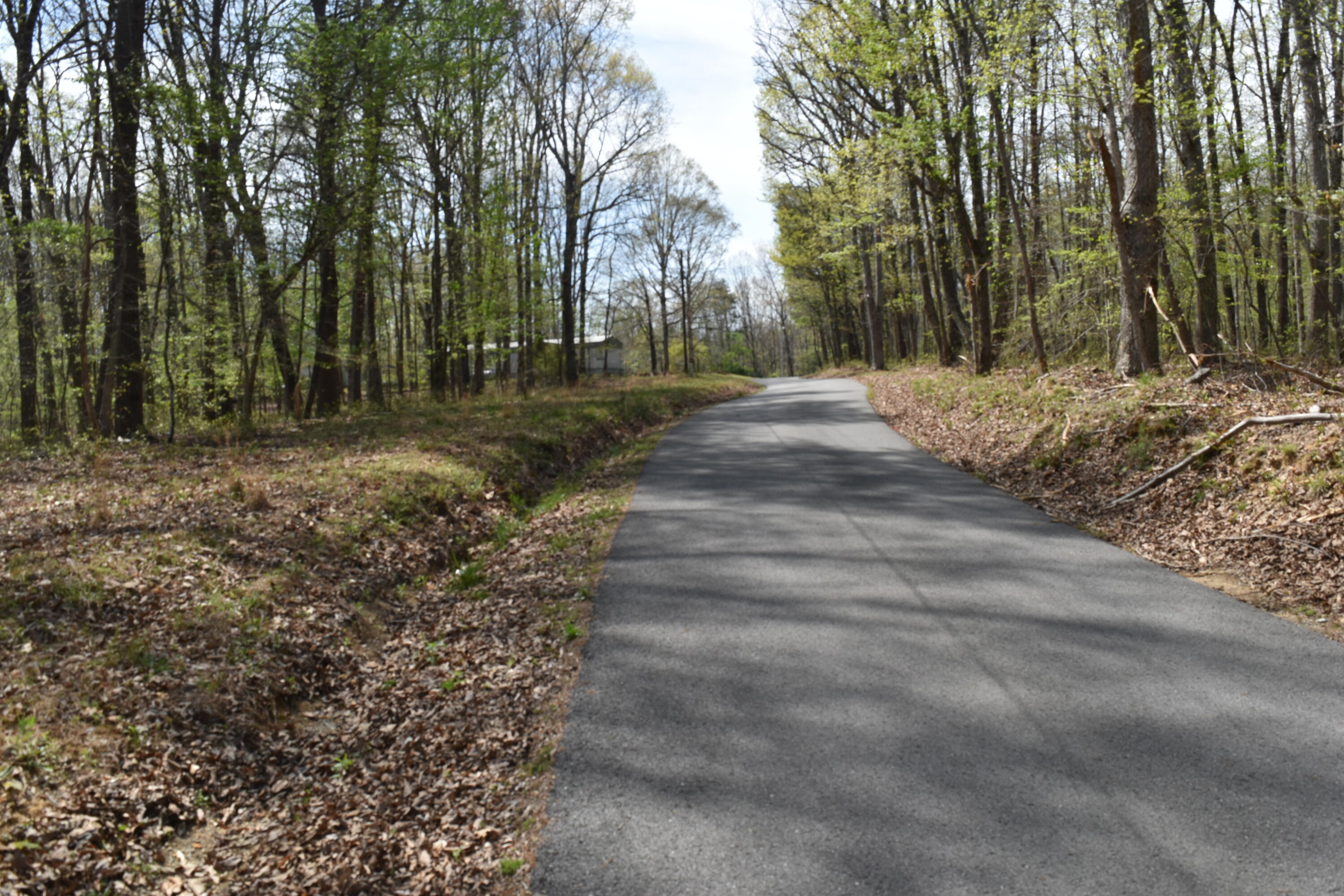 362 Haynes Road Sewanee, TN 37375 - Photo 4 of 27 DSC_0033