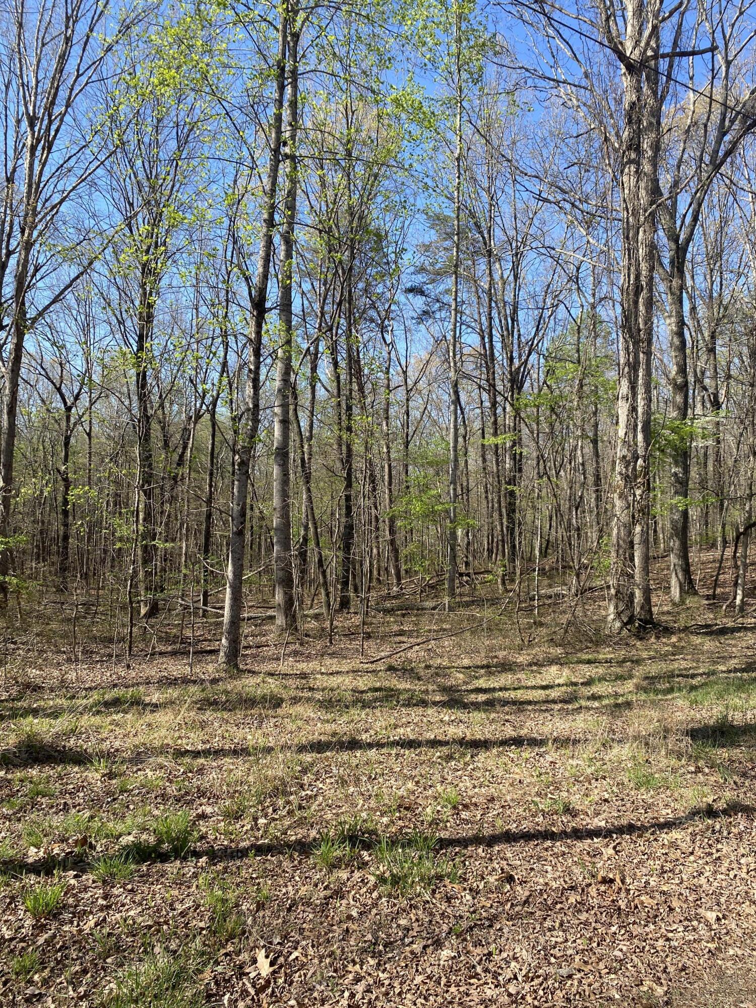 362 Haynes Road Sewanee, TN 37375 - Photo 6 of 27 IMG_0956