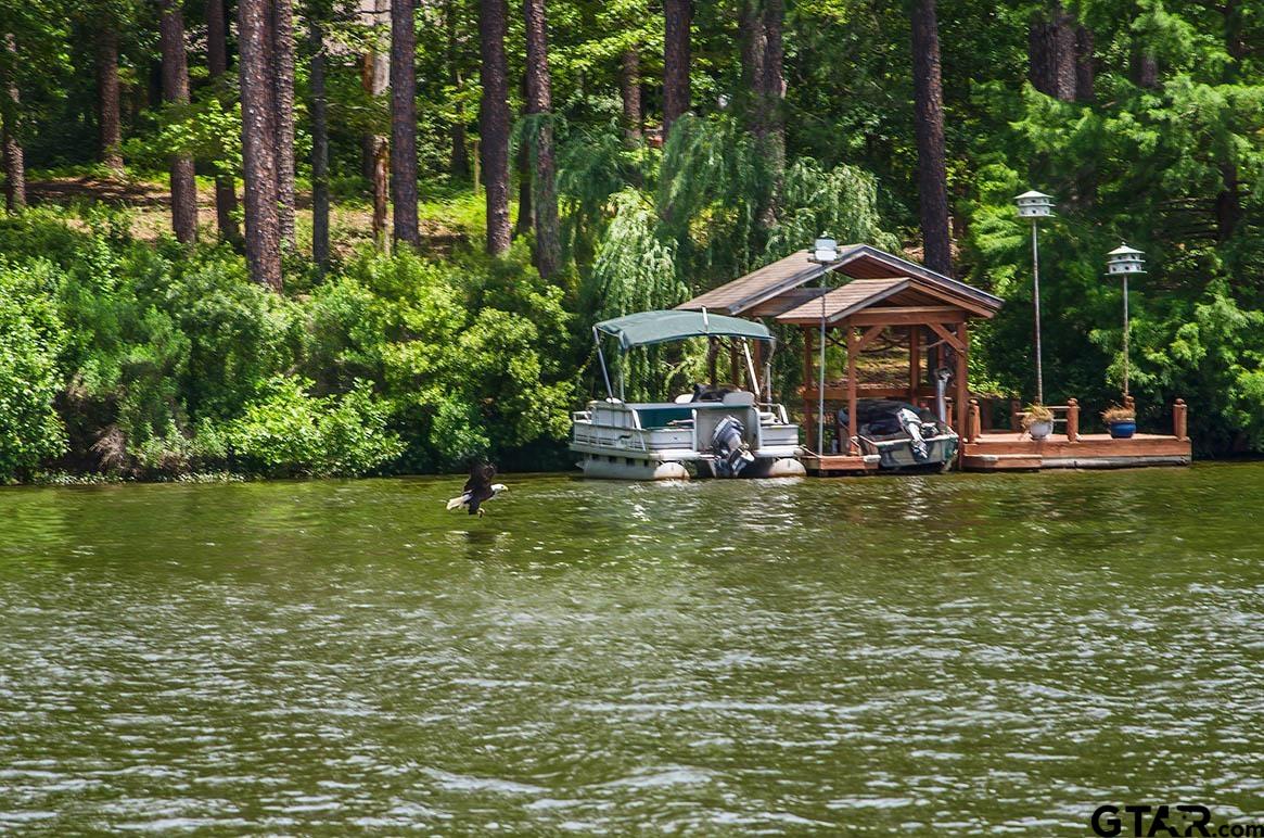 Tbd Autumn Wood Trail Holly Lake Ranch, TX 75765 - Photo 12 of 23