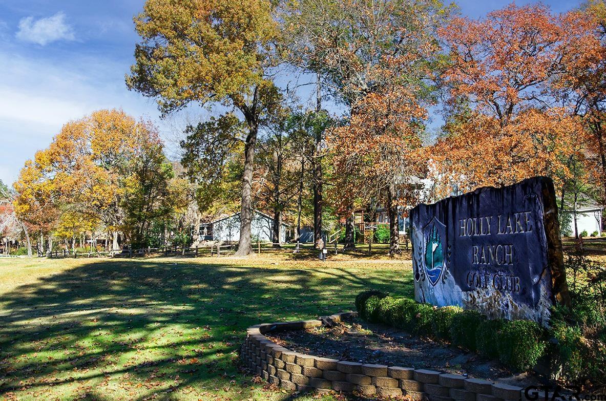Tbd Autumn Wood Trail Holly Lake Ranch, TX 75765 - Photo 18 of 23