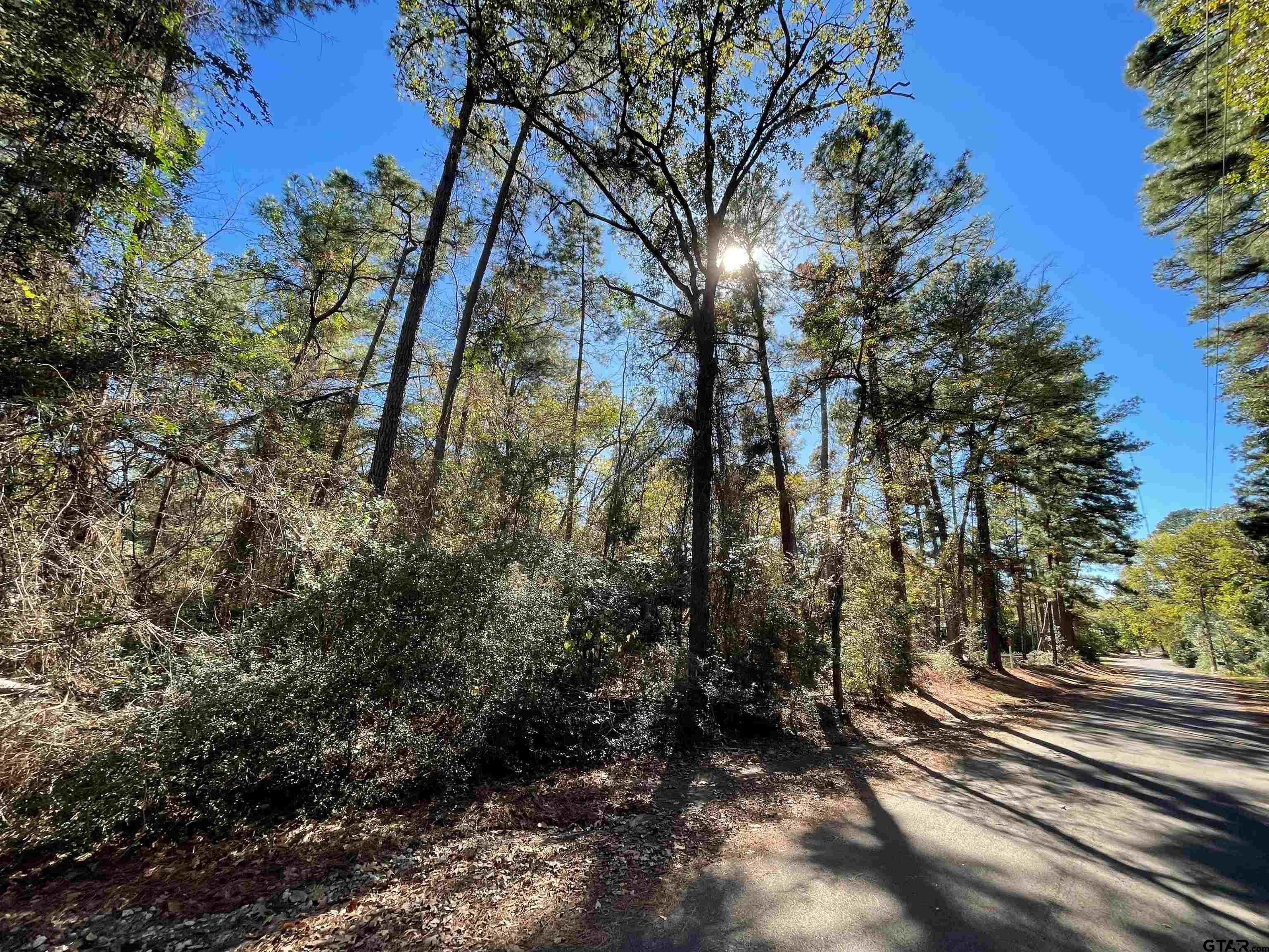 Tbd Autumn Wood Trail Holly Lake Ranch, TX 75765 - Photo 2 of 23