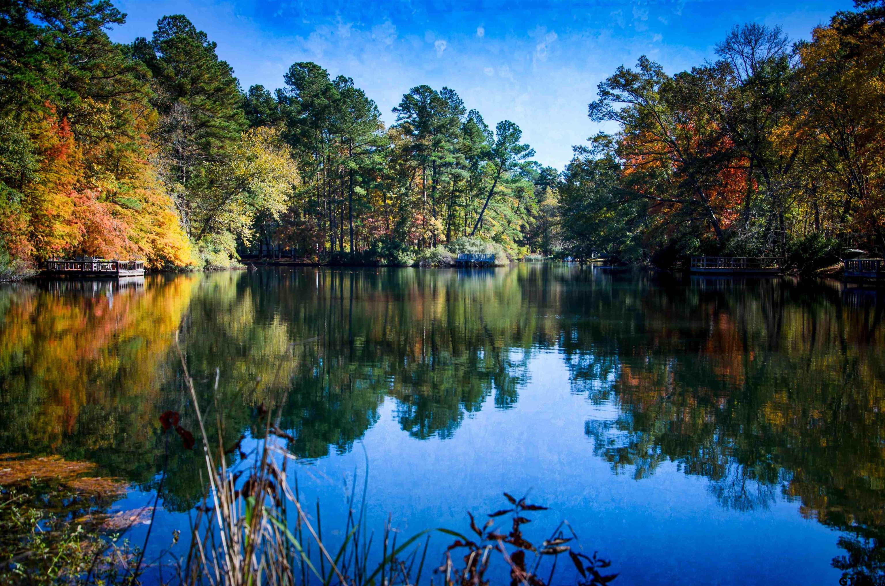 Tbd Autumn Wood Trail Holly Lake Ranch, TX 75765 - Photo 21 of 23