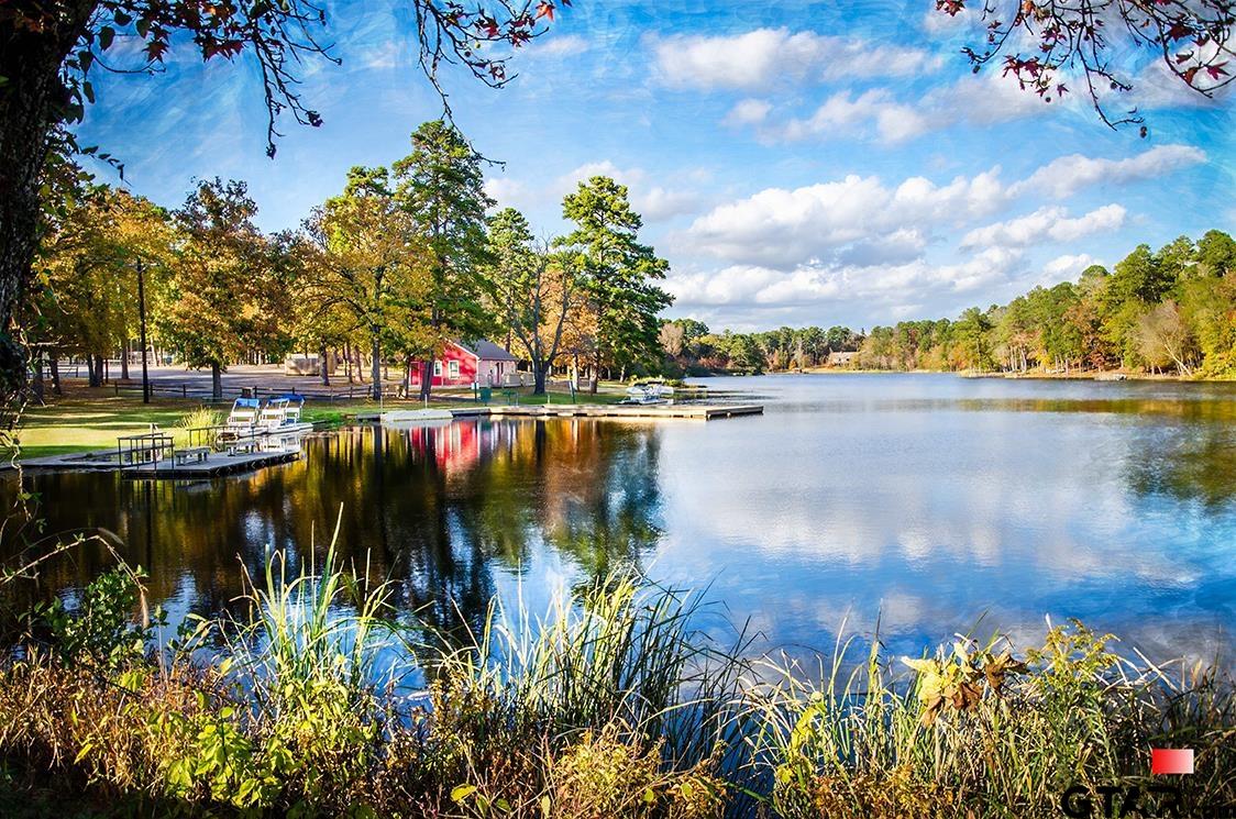 Tbd Autumn Wood Trail Holly Lake Ranch, TX 75765 - Photo 22 of 23