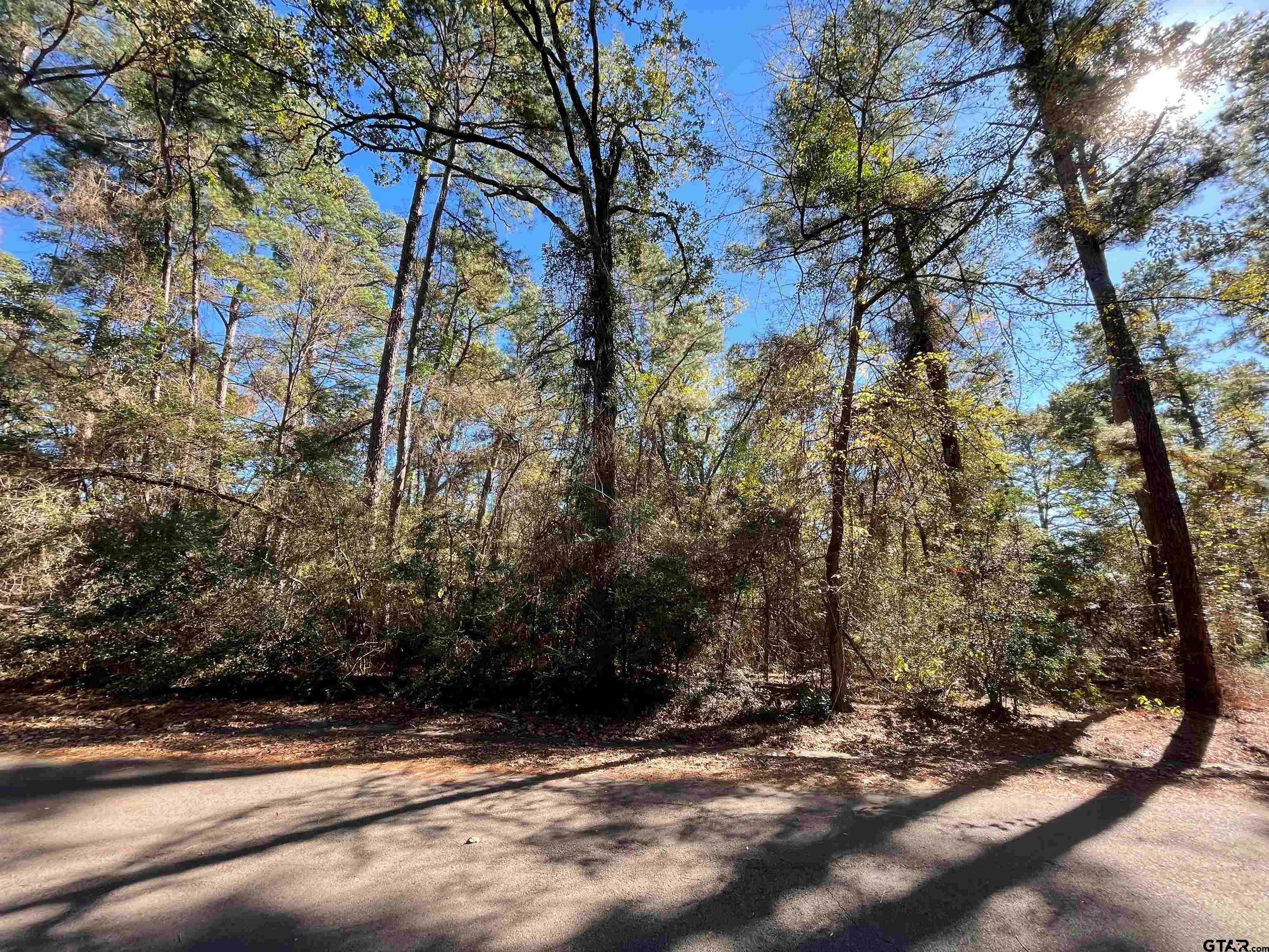 Tbd Autumn Wood Trail Holly Lake Ranch, TX 75765 - Photo 3 of 23