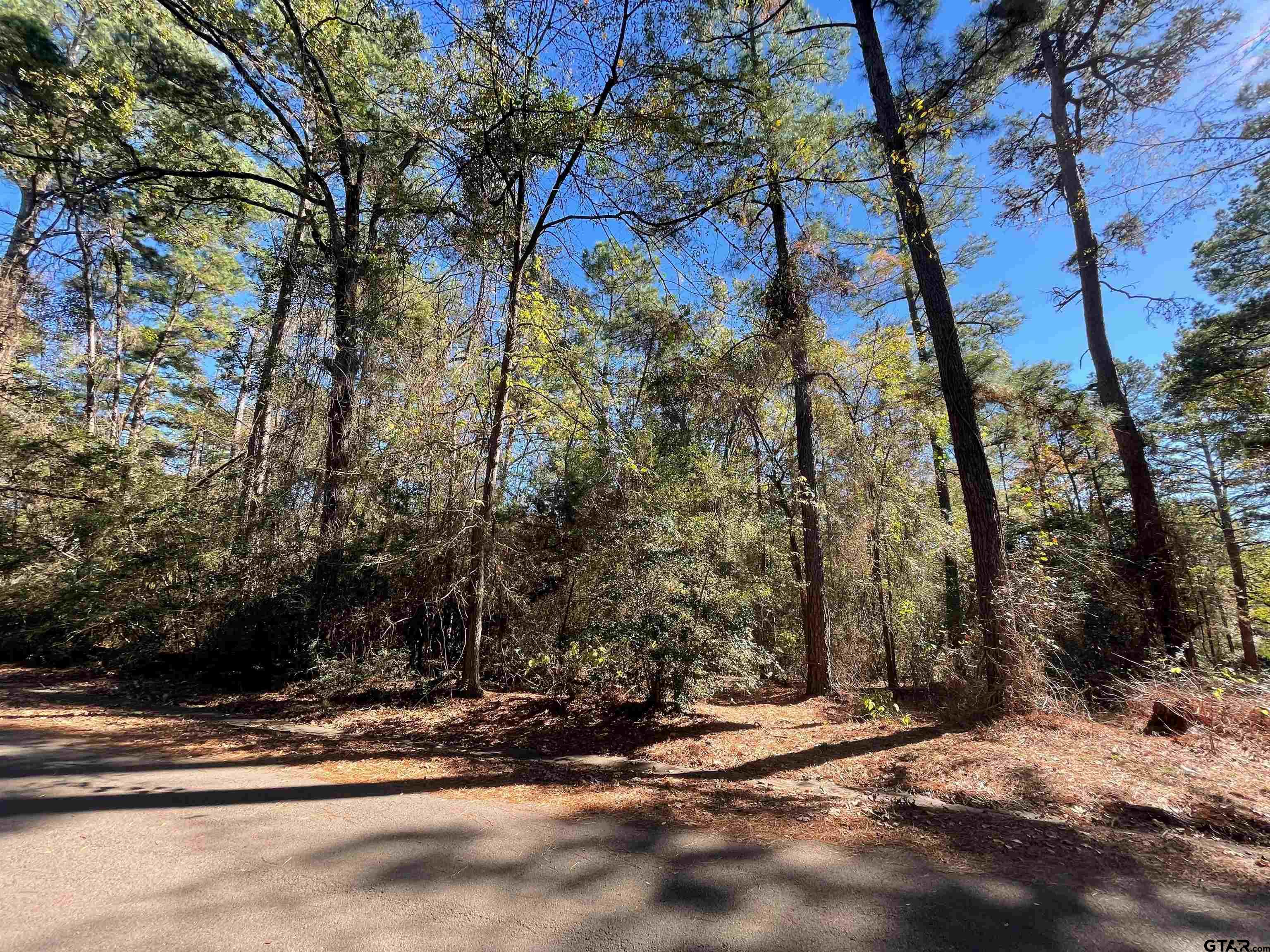 Tbd Autumn Wood Trail Holly Lake Ranch, TX 75765 - Photo 4 of 23