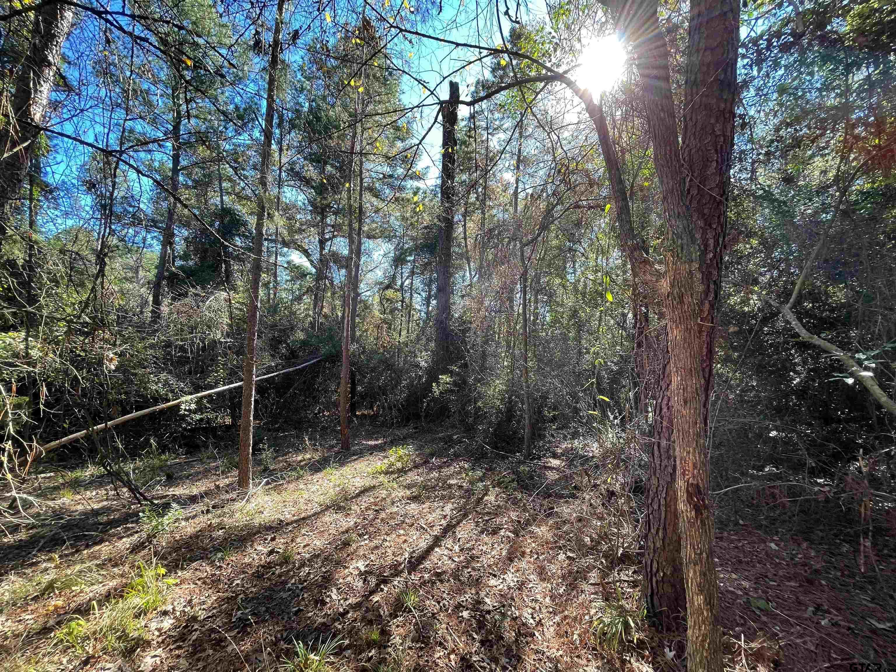 Tbd Autumn Wood Trail Holly Lake Ranch, TX 75765 - Photo 9 of 23