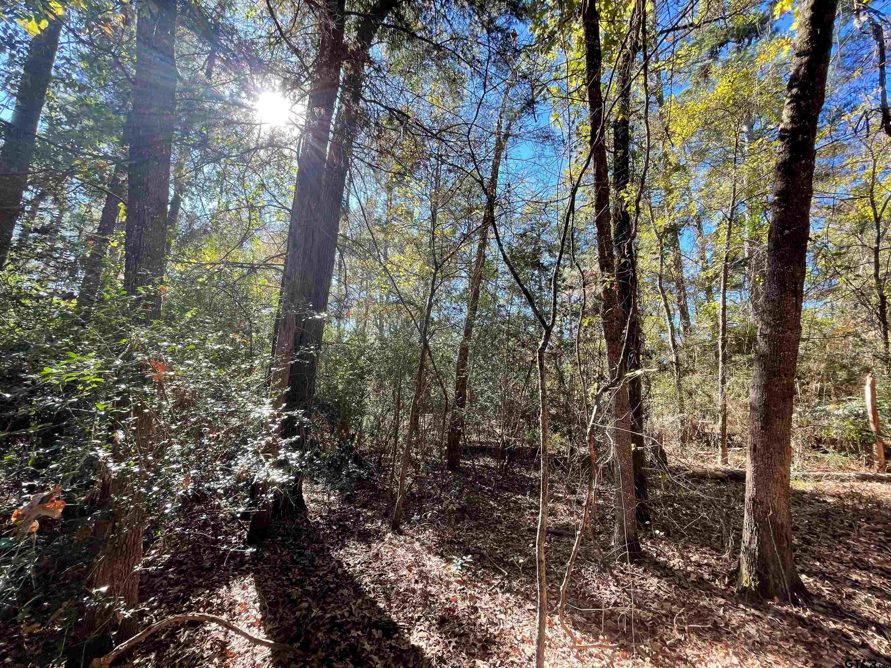 Tbd Autumn Wood Trail Holly Lake Ranch, TX 75765 - Photo 10 of 23