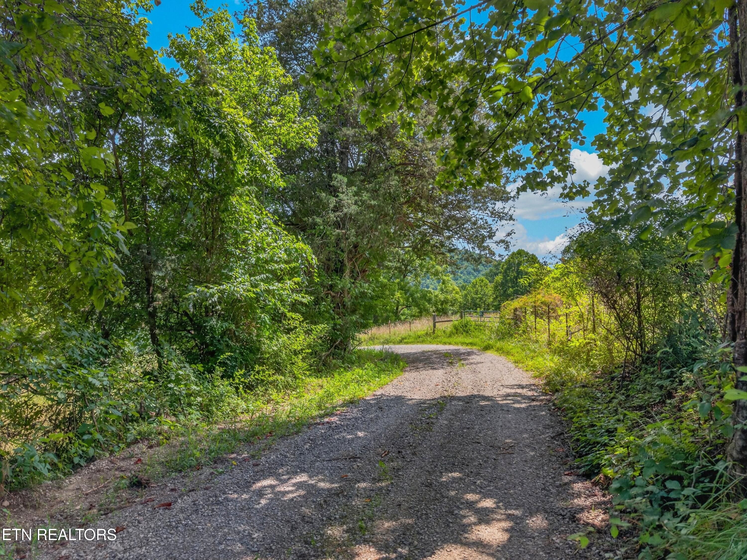 Tbd Ferguson Ridge Road Tazewell, TN 37879 - Photo 4 of 42 032