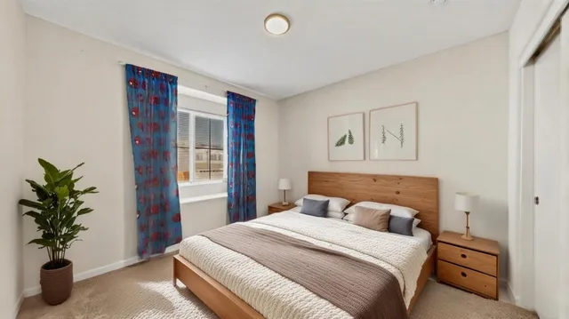 a bedroom with a large bed and a potted plant