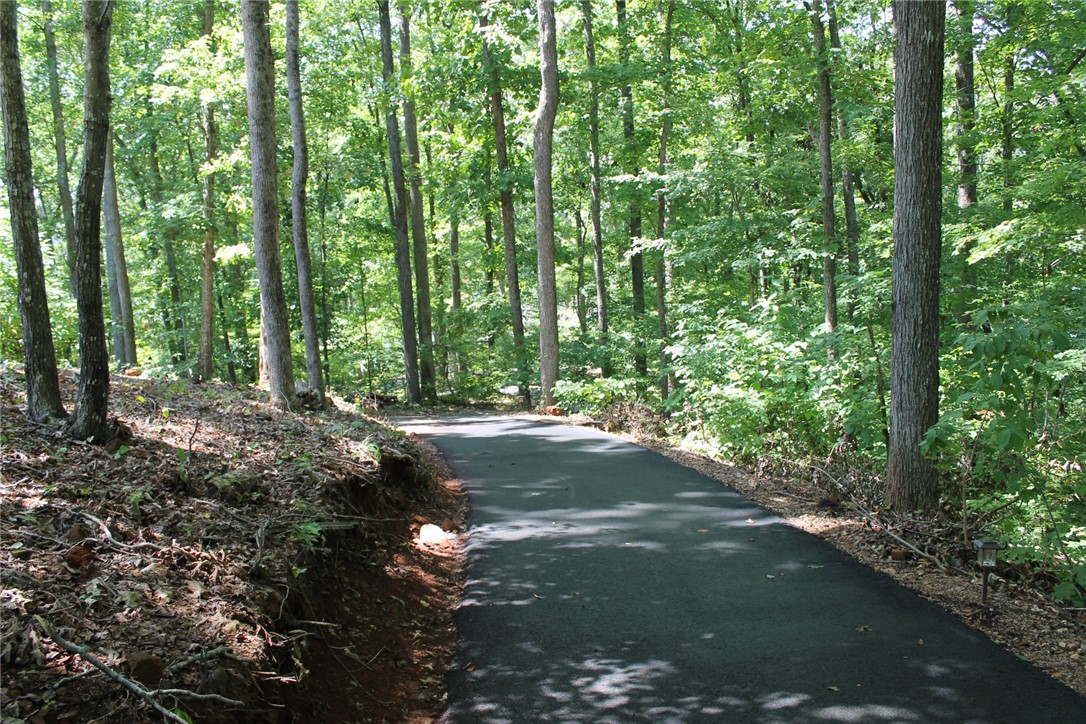 332 Two Rivers Drive Westminster, SC 29693 - Photo 16 of 50