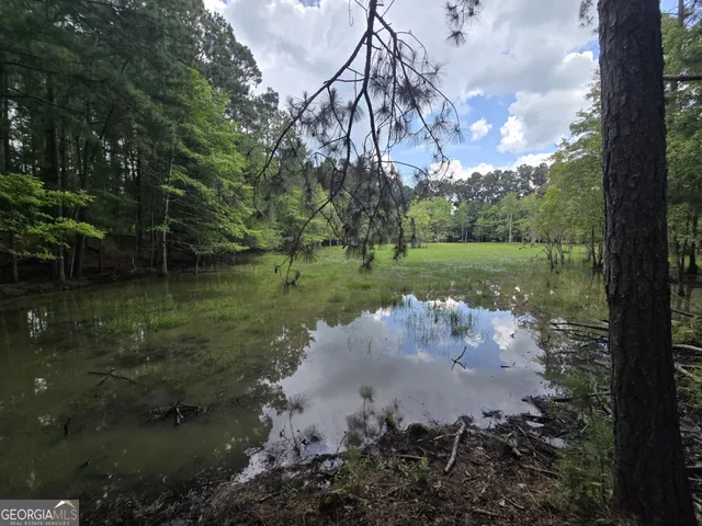 $475,000 | 3599 Highway 127, Mauk, GA 31058