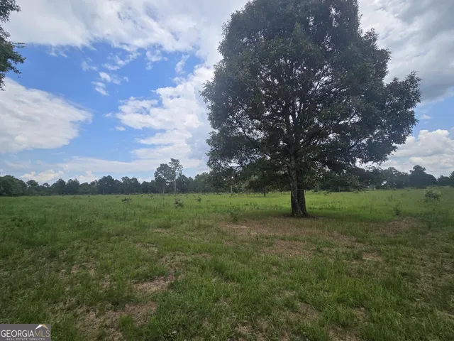 $475,000 | 3599 Highway 127, Mauk, GA 31058