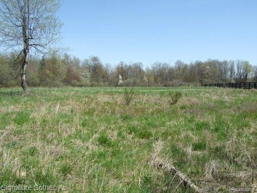 5560 Hosner Road Oxford, MI 48370 - Photo 21 of 23 Back of Property