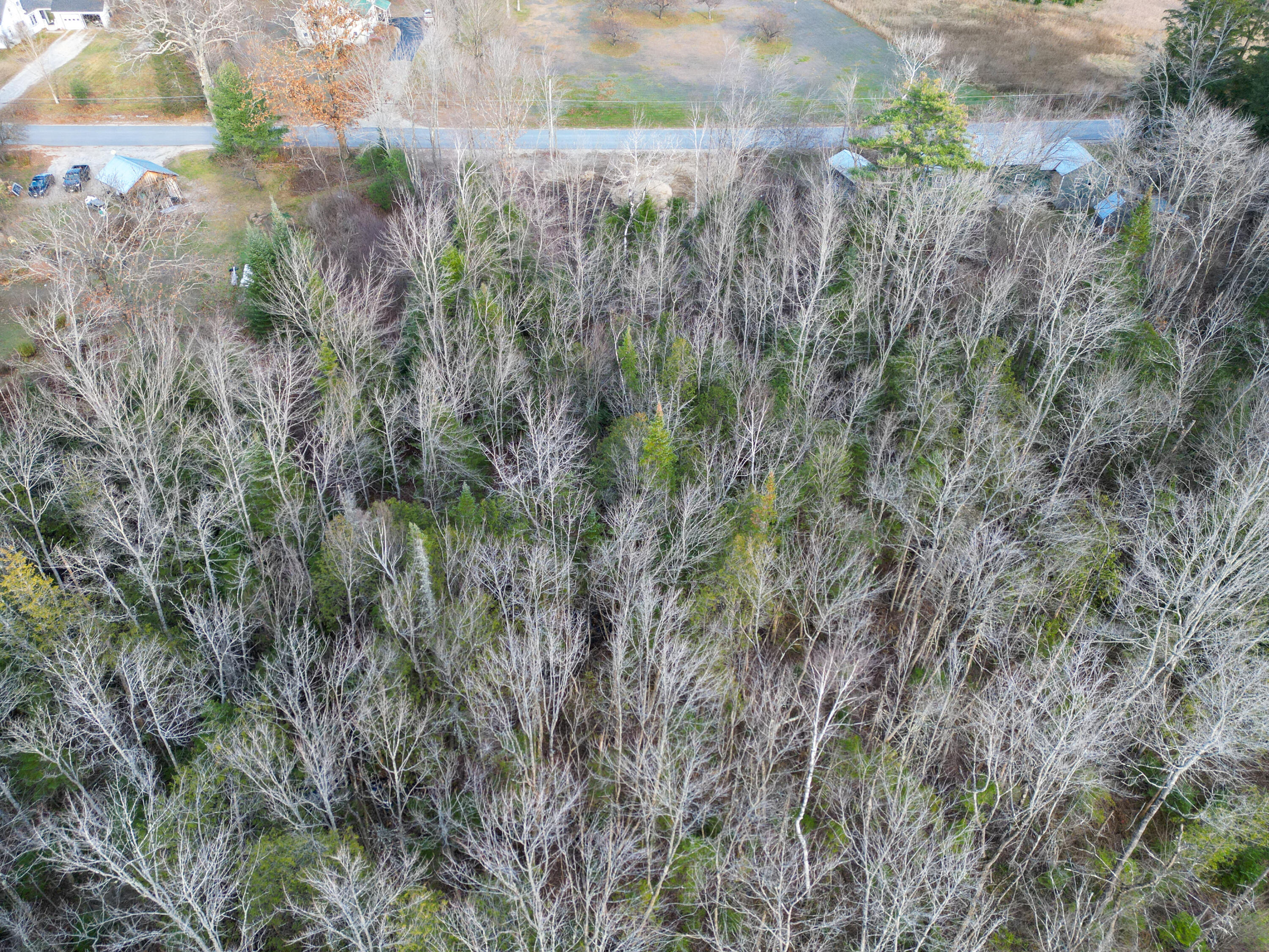 Lot 17 Flat Road Bethel, ME 04217 - Photo 8 of 14 DJI_0657