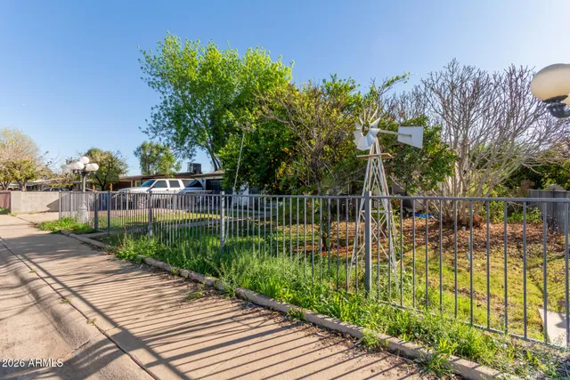 a view of a park with large trees