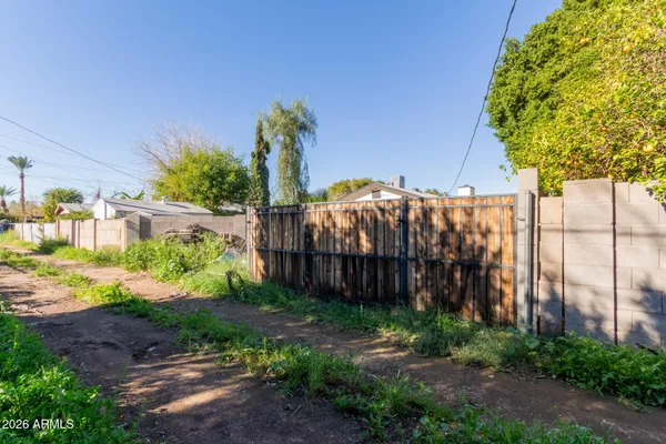 a view of a backyard with plants