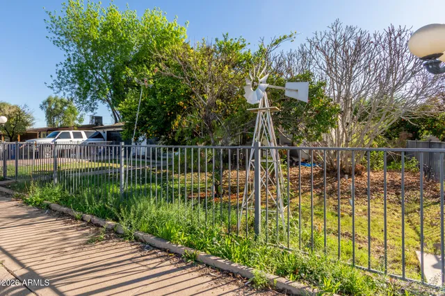 a view of a yard with large trees