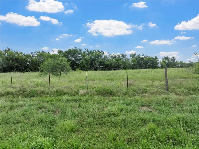 a view of a green field with lots of green space